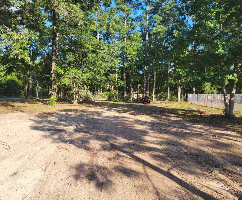 land after tree removal and clearing service