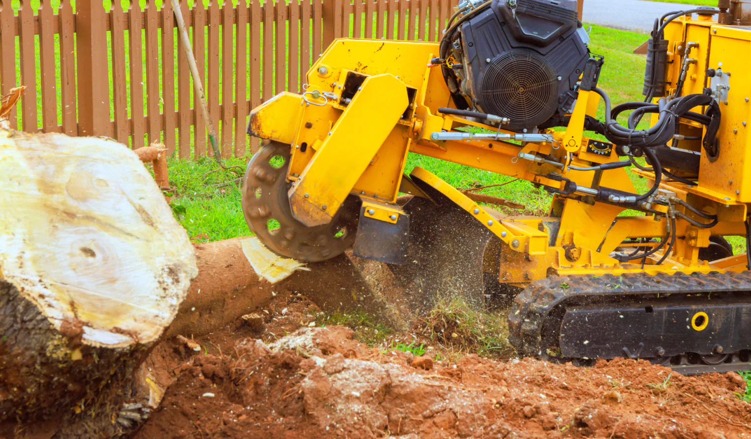 Stump Grinding
